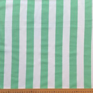 Tissu indien rayé mint et blanc